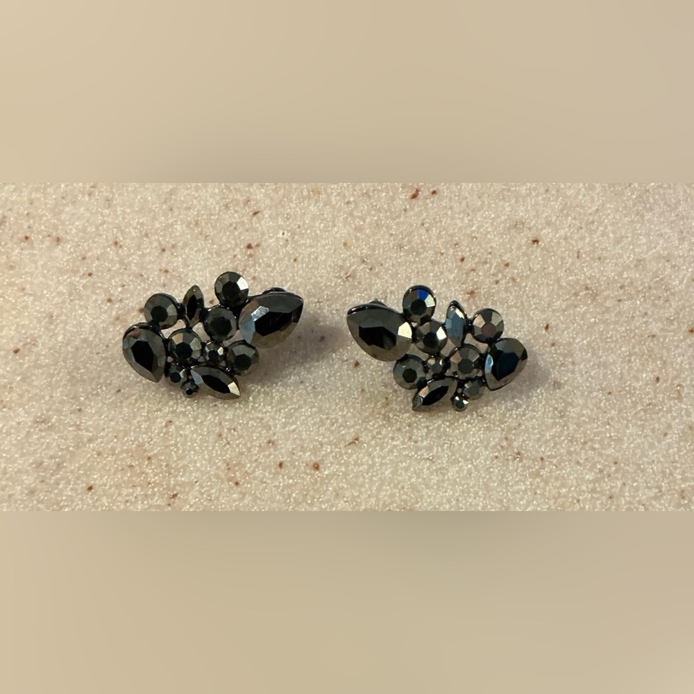Paparazzi Black Gemstone Earrings